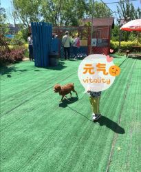 -萌宠亲子动物乐园(槐房万达店)