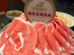 -百草滩羊清水涮羊肉(长城路店)