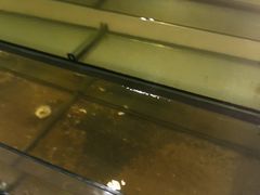 -Isla Sugbu Seafood City