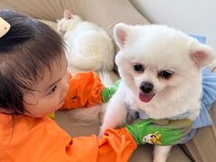 -怪兽屋·羊驼·猫咖·狗咖(俊华广场店)