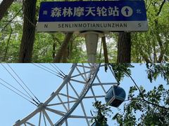 -前王院•巧克力海鲜市集餐厅(万平口店)