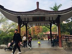 -晓港公园