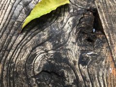 -脚下咖啡·CHILL酒馆(灵光东巷店)