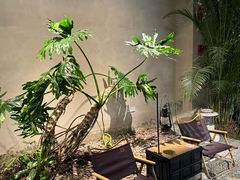 -J Create城市露营咖啡·简餐·宠物(上海动物园店)