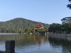 -顺峰山公园