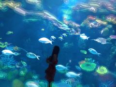 -暹罗海洋世界