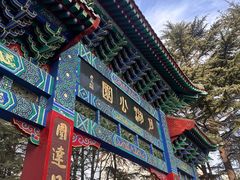 -莱西月湖公园
