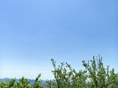 -上海佘山国家森林公园西佘山园