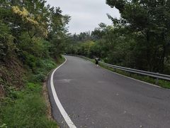 -青龙山国家森林公园
