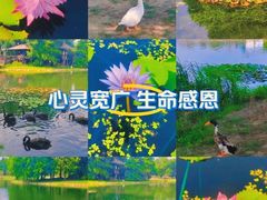 -上海辰山植物园