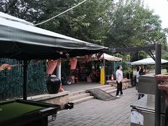 -尚庄度假村·庭台树下·户外烧烤·团建CS·轰趴营地(上庄水库店)