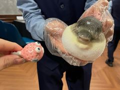 -肆月河豚·新淮扬(金融街店)
