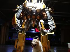 -天空之城·明日世界(南亚店)