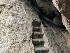 -六里坪国家森林公园