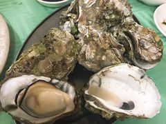 -豪园台山碳烧生蚝(蓬江江华店)