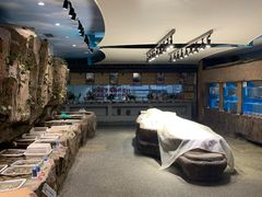 -郑庄脂渣海鲜楼(九水路店)