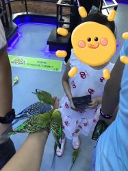-未来动物城动物主题公园(大悦城店)