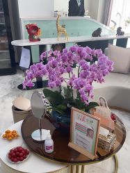 -上海漾颜医疗美容