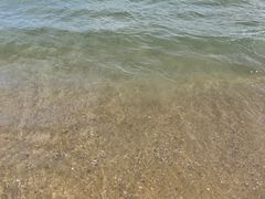 -海南清水湾莱佛士酒店