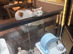 -B.O.M波姆烘焙(凤凰街店)