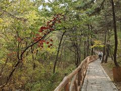 -金龙寺国家森林公园