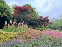 -上海鲜花港