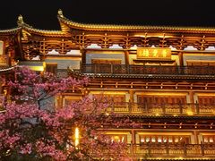 -大佛寺高级素食自助餐厅