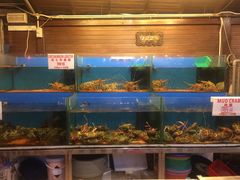 -真浪花园海鲜餐馆