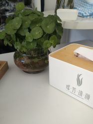 -瑶芳清颜草本祛痘