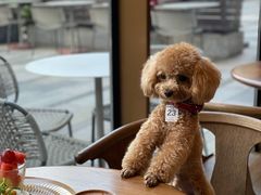 -BAKER&SPICE(BFC外滩金融中心店)