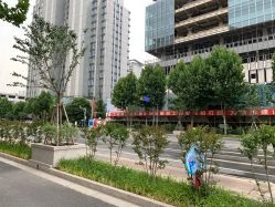 -睿宝儿科·眼科·口腔(静安大悦城门诊部)