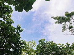 -广州从化都喜泰丽度假酒店温泉