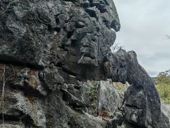 -千岛湖石林