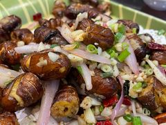 蚕蛹-健眺小海鲜(临海后山店)