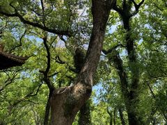 -普陀山风景名胜区-法雨禅寺
