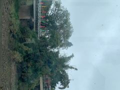 -东兴口岸-中越友谊大桥