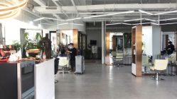 -蚂蚁造型沙龙