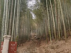 -五泄景区