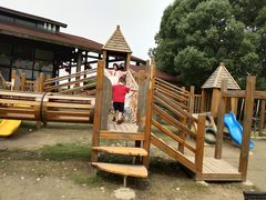 -荷塘月色湿地公园·向阳花洲