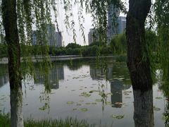 -后襄河公园
