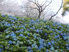-苏州上方山国家森林公园