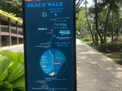 -巴拉湾海滩