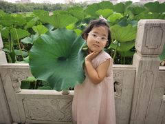 -莲花池公园