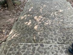 -上海佘山国家森林公园天马山园