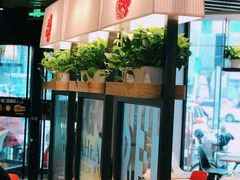 -肯德基(中纬店)