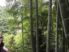 -仙山谷激浪漂流