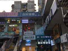 -猫咪博物馆(顶澳仔猫街店)