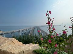 -星海湾跨海大桥
