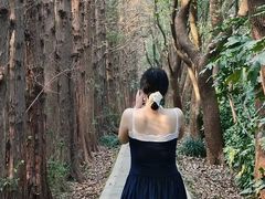 -同里国家湿地公园