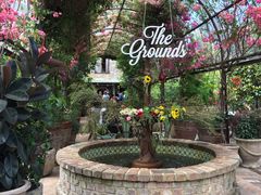 -The Grounds of Alexandria